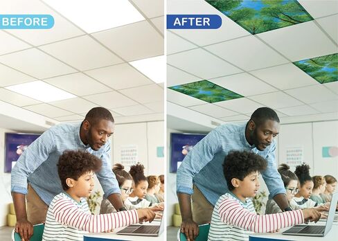 Teacher Created Resources Forest Calming Covers Ceiling Light Filters (TCR20145) in Kuwait