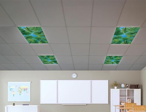 Teacher Created Resources Forest Calming Covers Ceiling Light Filters (TCR20145) in Kuwait