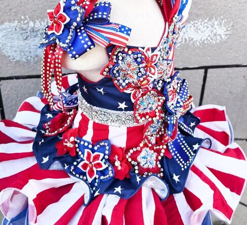 Jenniferwu Pageant Dress Toddler Baby Newborn Little Girl's Pageant Party Dress G535 Christmas Multi Color 5T in Kuwait