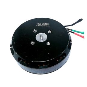 8318 125KV Rotor Brushless Motor in Saudi Arabia