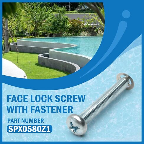 SPX0580Z1 Face Lock Screw Replacement for Hayward Astrolite SP580 Series Underwater Lights - Light Lock Screw, Includes Fastener in Kuwait