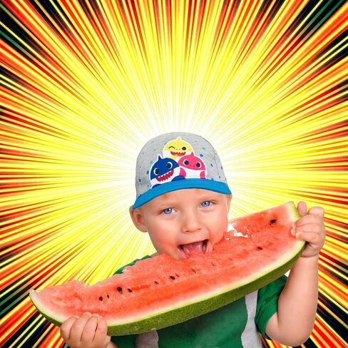 Nickelodeon Pinkfong Baby Shark Toddler Boys Baseball Cap Hat – Ages 2–4 in Kuwait