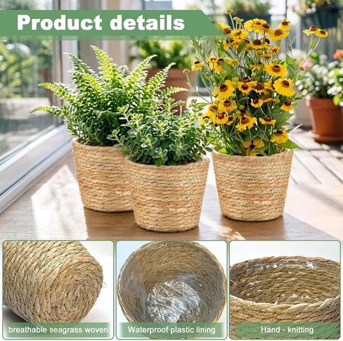 6 Pcs Wicker Plant Baskets with Plastic Liners Seagrass Plant Baskets in Bulk Woven Planter Basket Set for Indoor Outdoor Flower Pots and Room Home and Farmhouse Decor in Kuwait