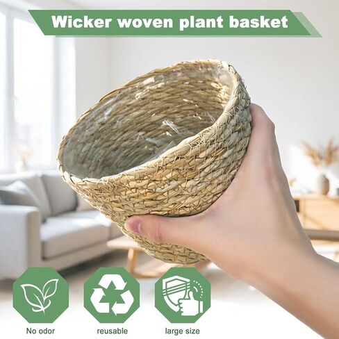 6 Pcs Wicker Plant Baskets with Plastic Liners Seagrass Plant Baskets in Bulk Woven Planter Basket Set for Indoor Outdoor Flower Pots and Room Home and Farmhouse Decor in Kuwait