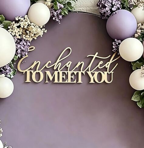 Enchanted to Meet You Sign for Backdrop,Wooden Baby Shower Party Decorations for Welcome Baby boy or girl Birthday Party photo booth centerpiece in Kuwait