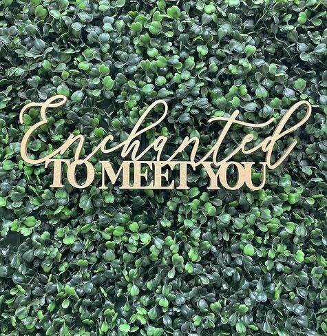 Enchanted to Meet You Sign for Backdrop,Wooden Baby Shower Party Decorations for Welcome Baby boy or girl Birthday Party photo booth centerpiece in Kuwait