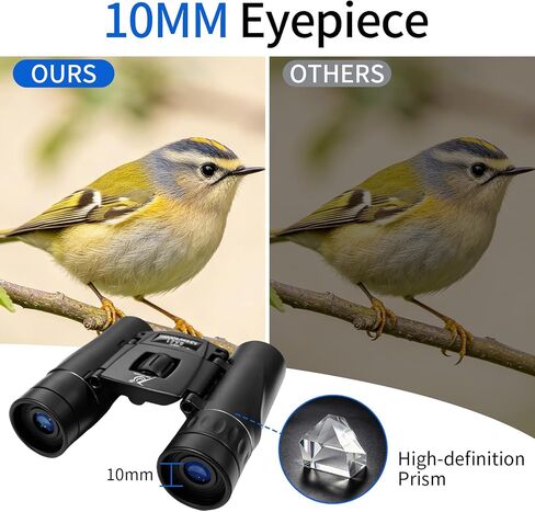 8x21 Small Compact Binoculars for Adults Kids,Mini Pocket Folding Binocular | Lightweight Travel Binoculars for Cruise Ship, Bird Watching, Sightseeing, Hiking, Concert, Theater, Opera and Sports in Kuwait