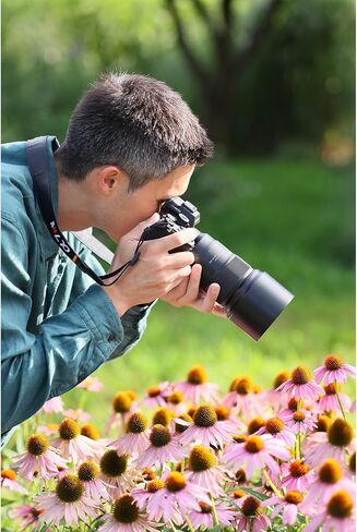 Tamron 90mm F/2.8 Di III VXD 1:1 Macro for Nikon Z Mount Mirrorless Cameras | It's also light in weight at 630g (22.2oz), A maximum diameter of 79.2mm, Lens features 15 elements in 12 groups in Kuwait