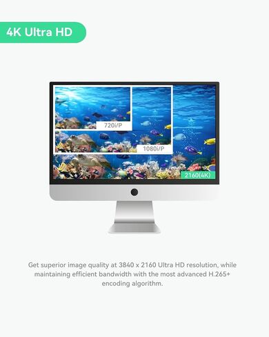 LINOVISION 4K PoE Underwater Camera with Anti-Corrosion Coating, 99ft Cable | Ultra HD IP Camera | Intuitive Web GUI & Mobile APP | for Aquaculture, Aquarium, Dams in Kuwait