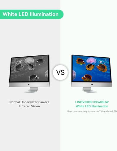 LINOVISION 4K PoE Underwater Camera with Anti-Corrosion Coating, 99ft Cable | Ultra HD IP Camera | Intuitive Web GUI & Mobile APP | for Aquaculture, Aquarium, Dams in Kuwait