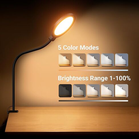 NEEWER Entry Level Version 5" Edge Lit Streaming Light with Desk Clamp Stand, 10W Bi Color Full Screen LED Ring Light CRI80+, Computer Laptop Webcam Zoom Call Video Conference Recording Lighting, N32 in Kuwait