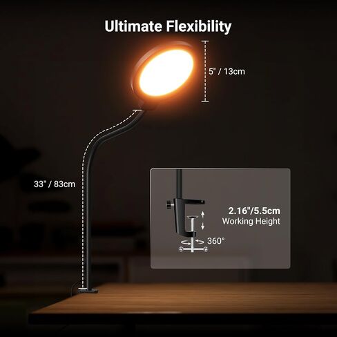 NEEWER Entry Level Version 5" Edge Lit Streaming Light with Desk Clamp Stand, 10W Bi Color Full Screen LED Ring Light CRI80+, Computer Laptop Webcam Zoom Call Video Conference Recording Lighting, N32 in Kuwait