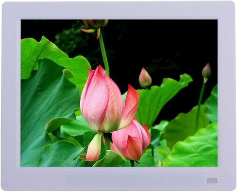 Photo Frame 10 inch Electronic WiFi Version Digital Android one Machine Commercial Advertising Machine Supports Music, Video, Picture Playback Gift (White) in Kuwait