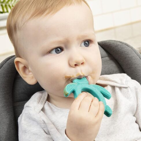 Dr. Brown's Silicone Starter Spoon and Teether for Babies and Infants, Turtles, 1 Pack, 4m+ in Kuwait