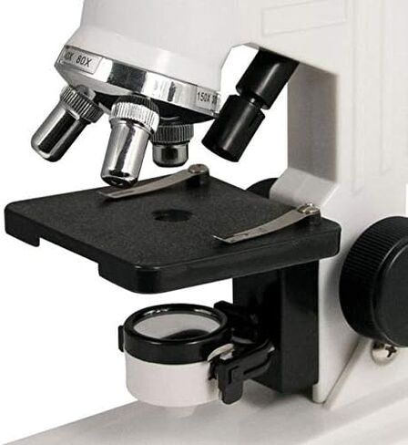 Celestron Microscope Kit for Beginners and STEM | Biological Microscope with 3 Lenses, 40x-600x Power, Includes Prepared Slides, Tools & Experiment Supplies, Hands-on Science in Saudi Arabia