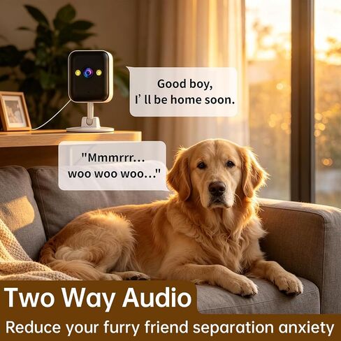 JOOAN 2K Indoor Outdoor Security Camera, 2.4G WiFi, IP66 Waterproof, Motion Detection, 2-Way Audio, Color Night Vision, for Baby/Elderly/Cat/Dog, Multi-User Shared, Local & Cloud Storage, Plug-in in Kuwait