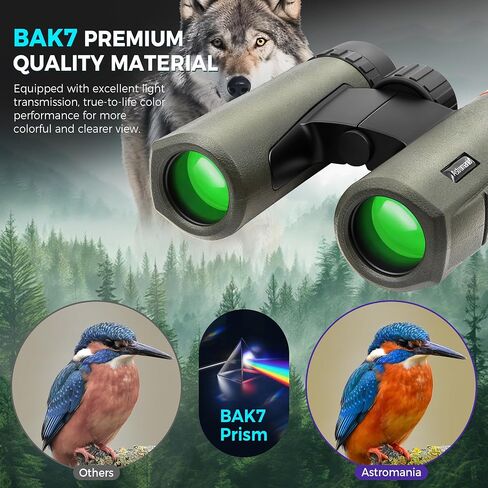 Astromania 10x26 Waterproof Compact Binoculars for Traveling, Wildlife, Camping and Sport Games, Theater and Concerts, Bird Watching in Kuwait