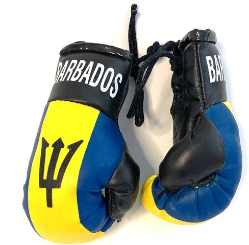 Barbados Flags Boxing Gloves Car & Home Mini Banner Automobile Charm Small Window Sticker Easy to use Sticks to Glass Quick Easy or Hang Ornament Wall Design Indoor Outdoor Decal Hanging in Saudi Arabia