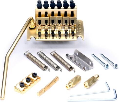 سلسلة فلويد روز الخاصة جسر تريمولو مع جوز R2SG ذهبي ساتان in Kuwait