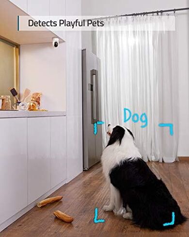 eufy Security Indoor E220 2-Cam Kit & Indoor Cam S350 (Bundle),Plug-in Camera with Wi-Fi, Human & Pet Al, Voice Assistant Compatibility,Motion Tracking, Homebase 3 Compatible in Kuwait