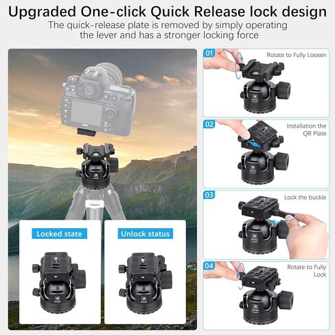 ARTCISE KB55BF 55mm Low Profile Ball Head with Lever Release, CNC Metal Panoramic Tripod Head with Two Arca Swiss Quick Release Plate, Heavy Duty Camera Mount Max Load 88lbs/40kg in Kuwait