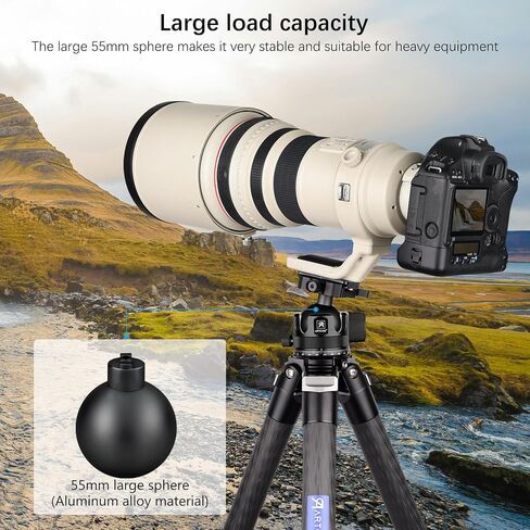 ARTCISE KB55BF 55mm Low Profile Ball Head with Lever Release, CNC Metal Panoramic Tripod Head with Two Arca Swiss Quick Release Plate, Heavy Duty Camera Mount Max Load 88lbs/40kg in Kuwait
