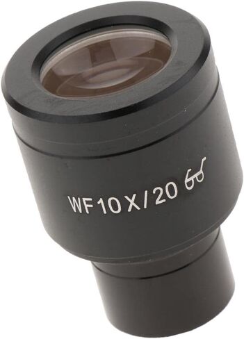 10 Eyepiont Eyepiece (wf10x/20mm Lens) for 23.2mm in Kuwait