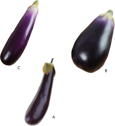 2pcs Simulation Eggplants Versatile Foam Eggplants Artificial Simulation Aubergines Vegetable Photography Props in Kuwait