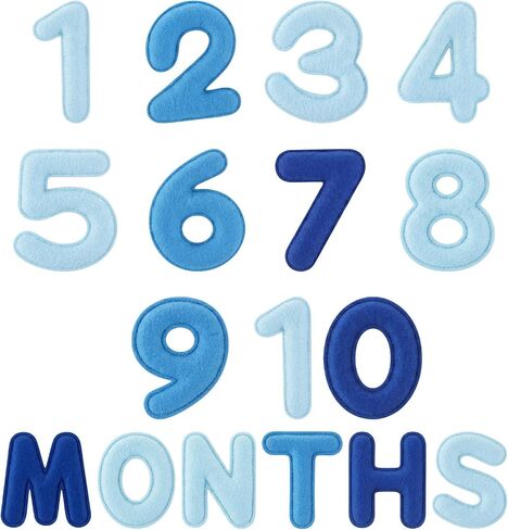 Felt Baby Monthly Milestone Numbers 3D Under the Sea Growth Tracker Photo Props Baby Announcement Sign Welcome Newborn Boy First Year Calendar Reusable for Birthday Party Decor in Saudi Arabia