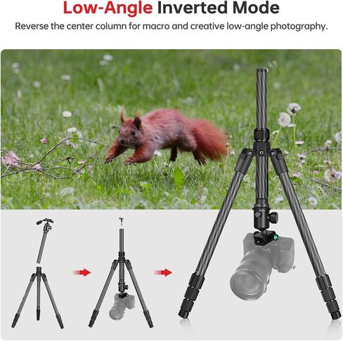TONYBOO Carbon Fiber Tripod with 360° Ball Head, 63" Lightweight Travel Camera Tripod, 2-in-1 Compact Monopod Stand for DSLR, Heavy Duty Professional Shooting Tripod for Outdoor Hiking Photography in Kuwait