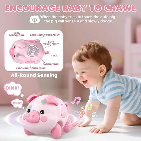 Baby Toy 6-12 Months, Musical Piggy Baby Crawling Toys with Light | 6 Month Old Baby Toys for Tummy Time Development, Early Learning Educational Toys, Birthday Gifts for Boys Girls 6-12 Month in Kuwait