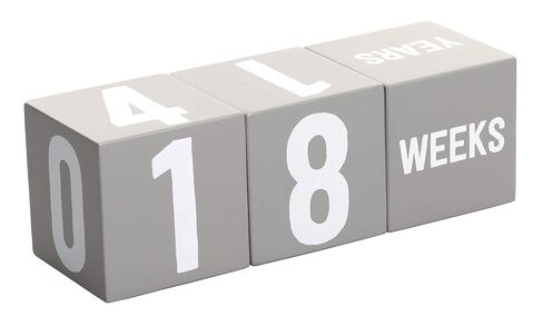 Kate & Milo First Moments Wooden Baby Milestone Blocks | Includes 3 Wooden Age Blocks, Numbers 0-9, Weeks, Months and Years, Pregnancy and Baby Milestone Photo Props in Saudi Arabia
