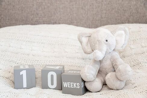 Kate & Milo First Moments Wooden Baby Milestone Blocks | Includes 3 Wooden Age Blocks, Numbers 0-9, Weeks, Months and Years, Pregnancy and Baby Milestone Photo Props in Saudi Arabia