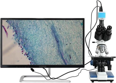 Microscope, Microscope, 40x - 1600x Biological Compound, Adjustable Light, Mechanical XY 3D Stage, for Educational Medical Science Laboratory,for Homeschool Lab in Kuwait