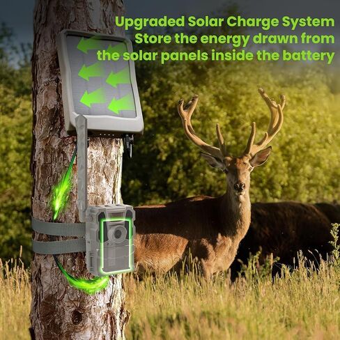 New Reveal Lithium Battery for Cellular Trail Camera 2 Pack Rechargeable | Compatible with Camera Reveal Ultra, X Gen 3.0, Pro 3.0, X, X Pro, X Gen 2.0, XB, SK in Kuwait