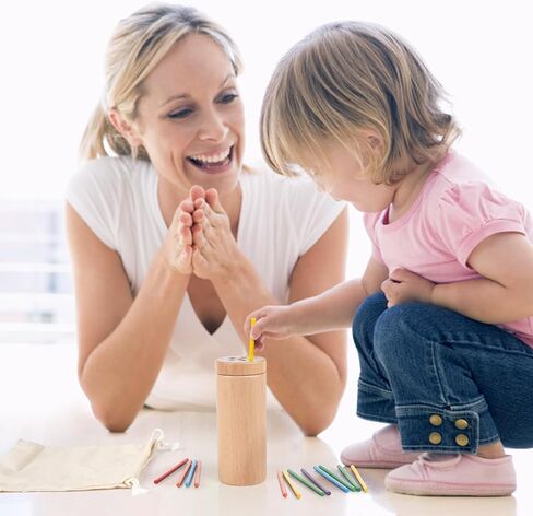 Vanplay Montessori Toddler Toys for 2 3 Year Old, Color Matching Toys for Toddlers 3, Fine Motor in Saudi Arabia
