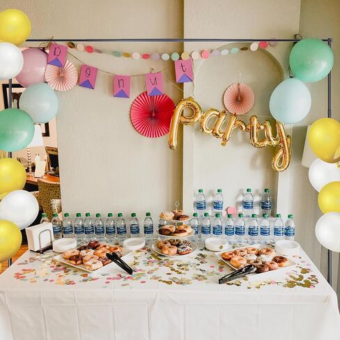 8x10' Backdrop Stand for Parties Wedding Birthday Events | Photography Photo Booth Step and Repeat Adjustable Heavy Duty Backdrop Stand with Carrying Bag in Saudi Arabia