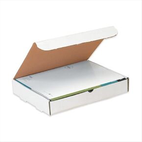 Aviditi White Literature Mailing Boxes, 15-1/8 x 11-1/8 x 2 Inches, Pack of 50, Crush-Proof, For Shipping, Mailing and Storing