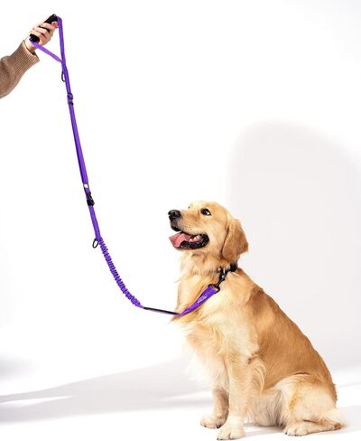 Shock Absorbing Bungee Dog Leash 4-7 ft. with Seatbelt Buckle and Comfortable Padded Handle, Reflective Extendable Heavy Duty Stretchy Tactical Dog Leash for Large Dogs That Pull (Purple) in Kuwait