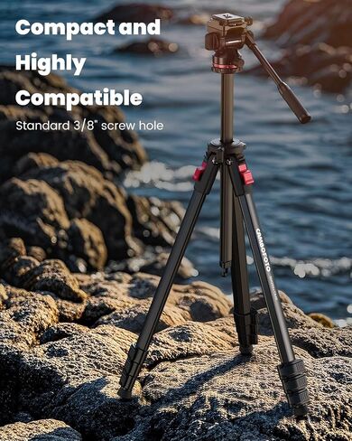 CAMBOFOTO Tripod Fluid Head Pan Tilt Head, Compact Video Head Mount | Aluminum Tripod Head with 1/4" Arca Swiss QR Plate & Adjustable Handle, Load 15lb/6.8kg for Lightweight Video Cameras DSLR in Kuwait