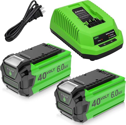 2 Pack 29462 Replacement for GreenWorks 40V Battery 6.0Ah and 29482 Charger | Compatible with GreenWorks 40V Power Tools 29472 29252 20202 22262 25312 25322 20642 22272 27062 Power Tool (Green) in Saudi Arabia