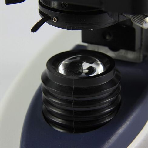 Microscope, XSP300SM Trinocular Biological Compund Microscope Teaching Metal with Light Source for Lab Education in Saudi Arabia