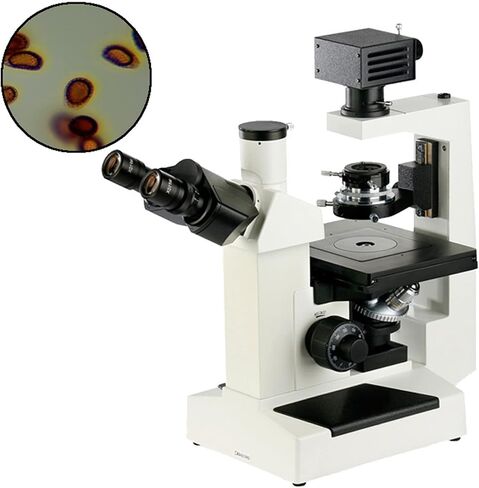 Microscope, 400X Trinocular Inverted Biological Microscope Laboratory Tissue Cell Culture Phase Contrast Microscope in Saudi Arabia
