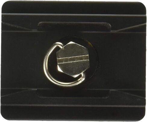 Induro Tripods QR0 Slide-In Quick Release Plate for Discontinued Heads (Black) in Saudi Arabia