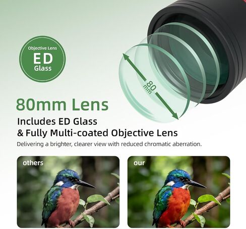 Spotting Scopes 20-60x80 ED Glass, FMC Lens, BAK4 Prism, Dual Speed Focus with Tripod, Carrying Bag,Phone Adapter, Fogproof Portable Spotting Scope for Bird Watching,Wildlife Viewing in Saudi Arabia