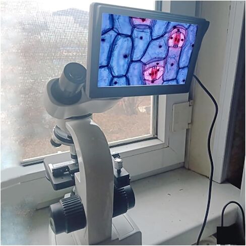 Digital Microscope, Microscope 30000X Biological HD Lab Digital Laboratory Compound with Wide Field 10X Eyepieces for Children Students Adults Beginner Learning and Experiments,Pocket Portable in Saudi Arabia