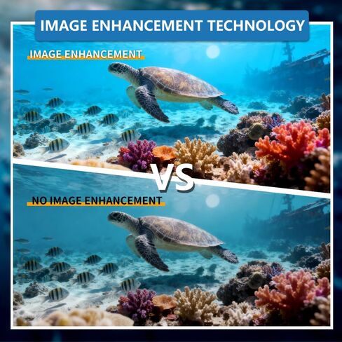 4MP HD 90FPS Electric Focus Underwater Viewing Camera with Lens Cleaning Brush Independent Lighting for Aquaculture, Marine IP Monitoring Camera with 32ft Cable (MP, 4) in Saudi Arabia