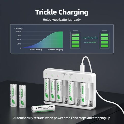 8 Slot Smart AA AAA Charger with 8 AA 2800mAh NiMH Rechargeable Batteries | Independent Charging | USB-C Input | LED Indicators | Auto Stop Charging | Smart Top-Up Charging in Saudi Arabia