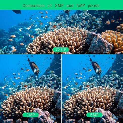 Barlus POE Underwater Camera System with 1TB HDD Underwater IP Camera HD Surveillance Night Vision Easy Remote Access with 66ft Cable in Saudi Arabia