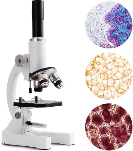 Microscope, Microscope 64X-2400X Monocular Light Elementary School Students Science Experiment Biology Education for Children Adults Beginner Learning and Experiments,for Homeschool Lab in Kuwait